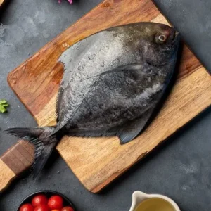 Black Pomfret