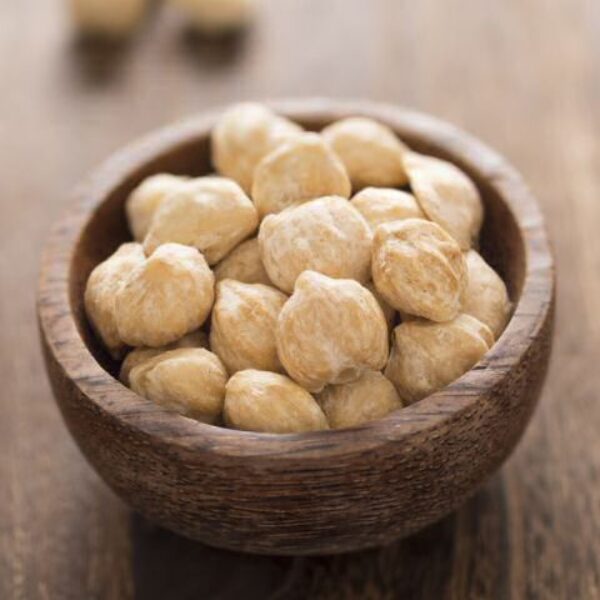 Candlenut