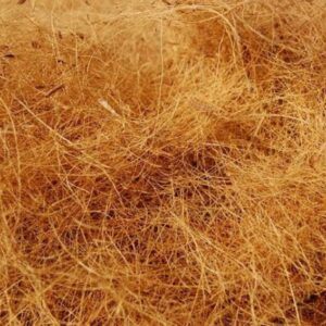 Coco Fiber