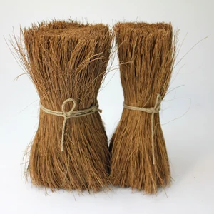 Coco Bristle