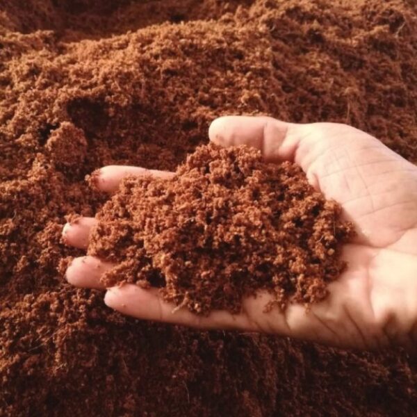 Cocopeat