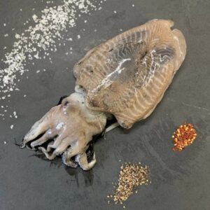 Cuttle Fish