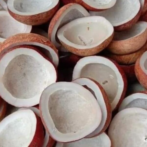 Edible Copra