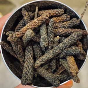 Long Pepper