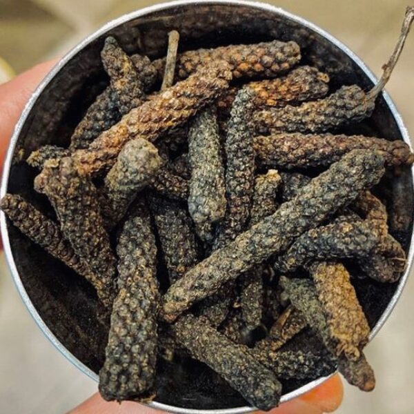 Long Pepper