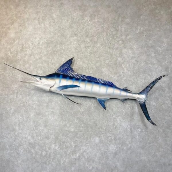 Marlin