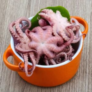 Octopus