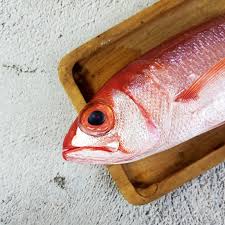 Onaga Snapper