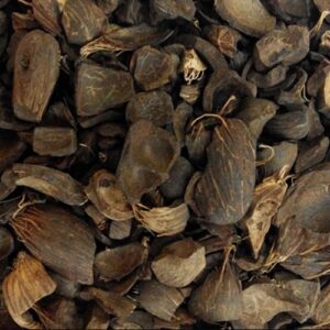 Palm Kernel Shells