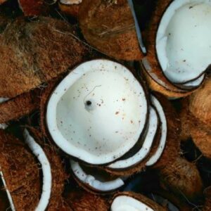 Raw Copra