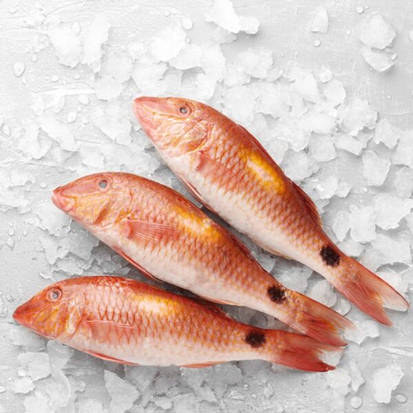 Red Mullet