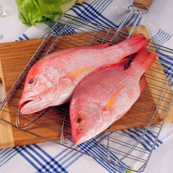Red Snapper
