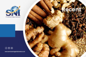 Supplier-of-Authentic-Indonesian-Spices