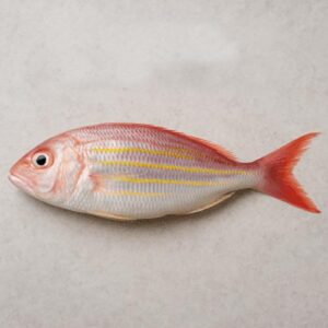 Threadfin Bream