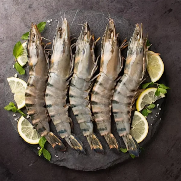 Black Tiger Prawn