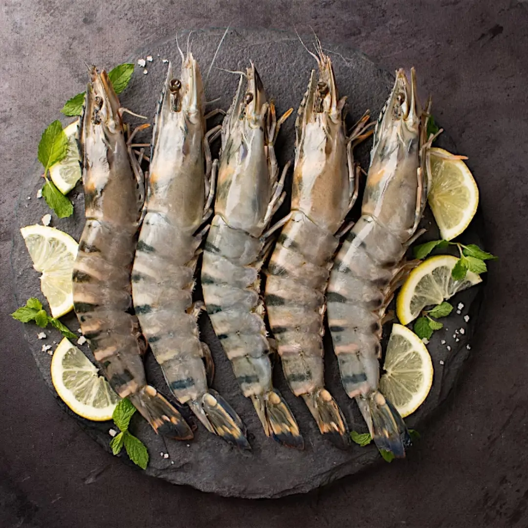 Black Tiger Prawn
