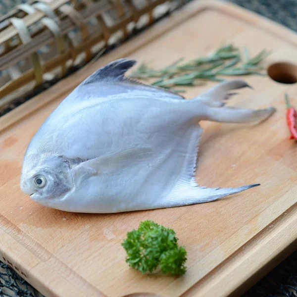White Pomfret