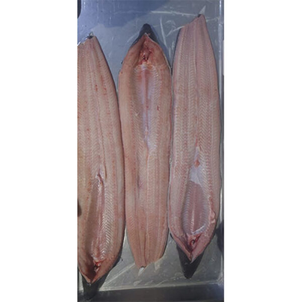 Unagi Fillet